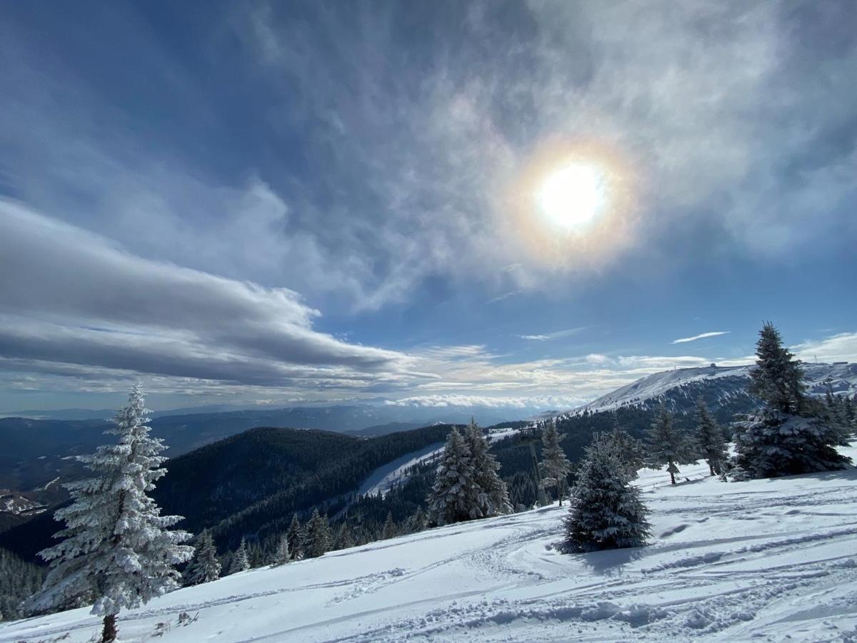 Ski & Spa Apartment S20 Milmari Resort Kopaonik Esterno foto