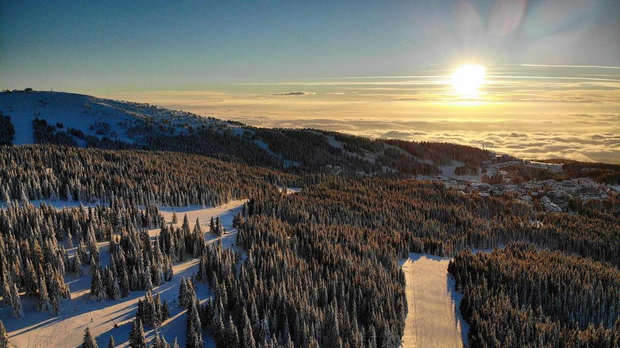 Ski & Spa Apartment S20 Milmari Resort Kopaonik Esterno foto