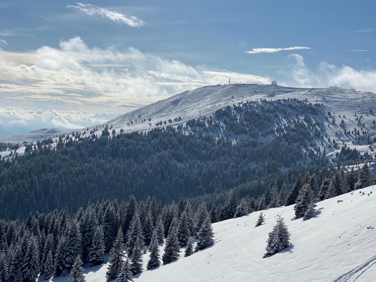 Ski & Spa Apartment S20 Milmari Resort Kopaonik Esterno foto