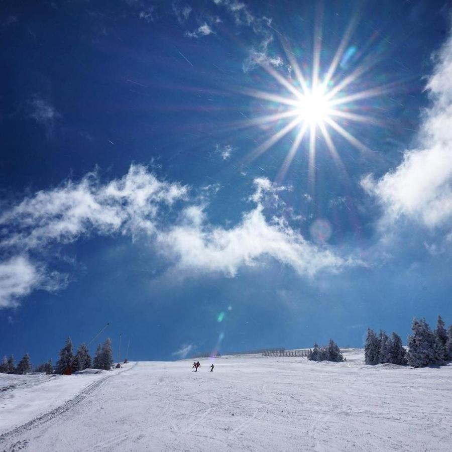 Ski & Spa Apartment S20 Milmari Resort Kopaonik Esterno foto