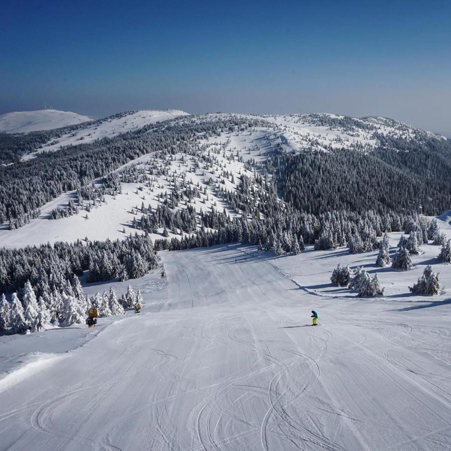 Ski & Spa Apartment S20 Milmari Resort Kopaonik Esterno foto